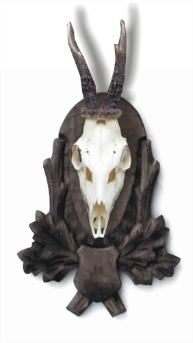 Roe deer, wild beast, carved trophy plaque 109