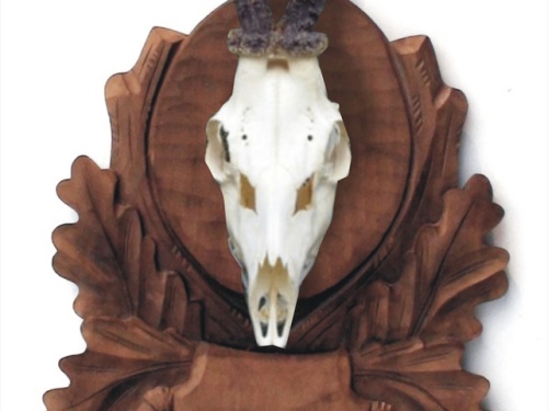 Roe deer, carved trophy 110 | lebka orez