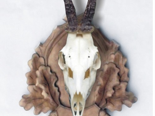 Roe deer, wild beast, carved trophy plaque 108 | lebka orez