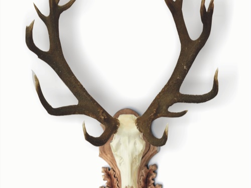 Deer carved trophy plaque 204 | lebka orez
