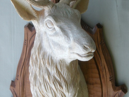 Deer head - carved | nove_foceni_podložky 151