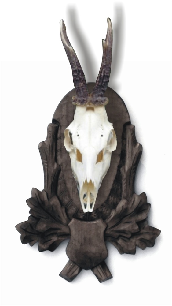 Roe deer, wild beast, carved trophy plaque 109 | lebka orez