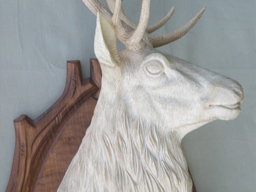 Deer head - carved | nove_foceni_podložky 149