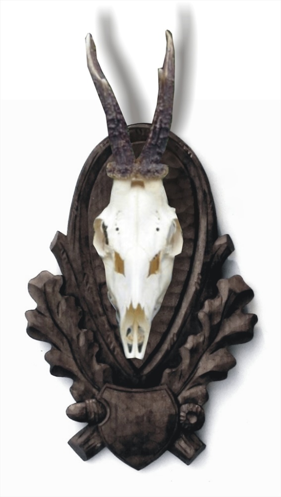 Roe deer, wild beast, carved trophy plaque 105 | lebka orez