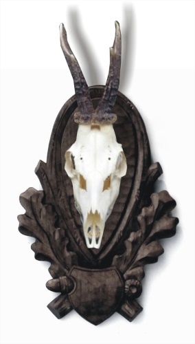 Roe deer, wild beast, carved trophy plaque 105