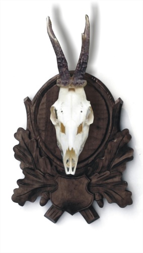 Roe deer carved trophy plaque 102